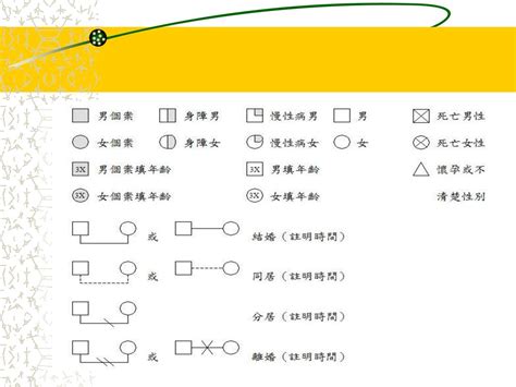 家庭關係圖畫法|附錄 9 製作家系圖(Genogram)